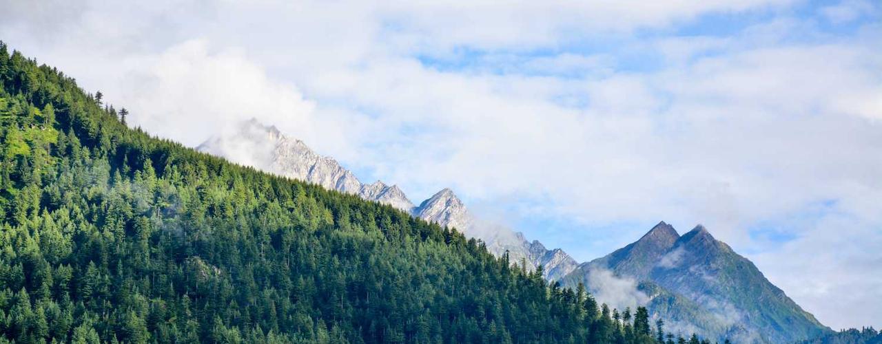 A random Wednesday post at 12:11:01 PM