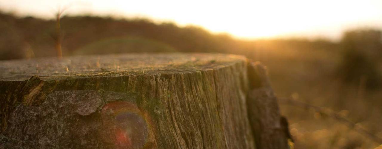 A random Friday post at 12:11:01 PM