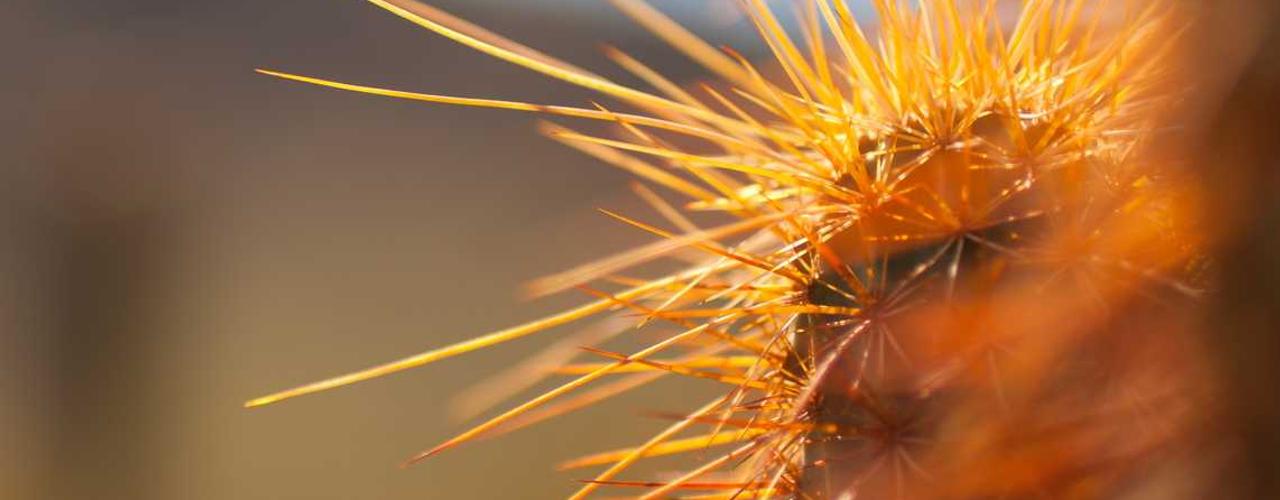 A random Tuesday post at 12:11:01 AM