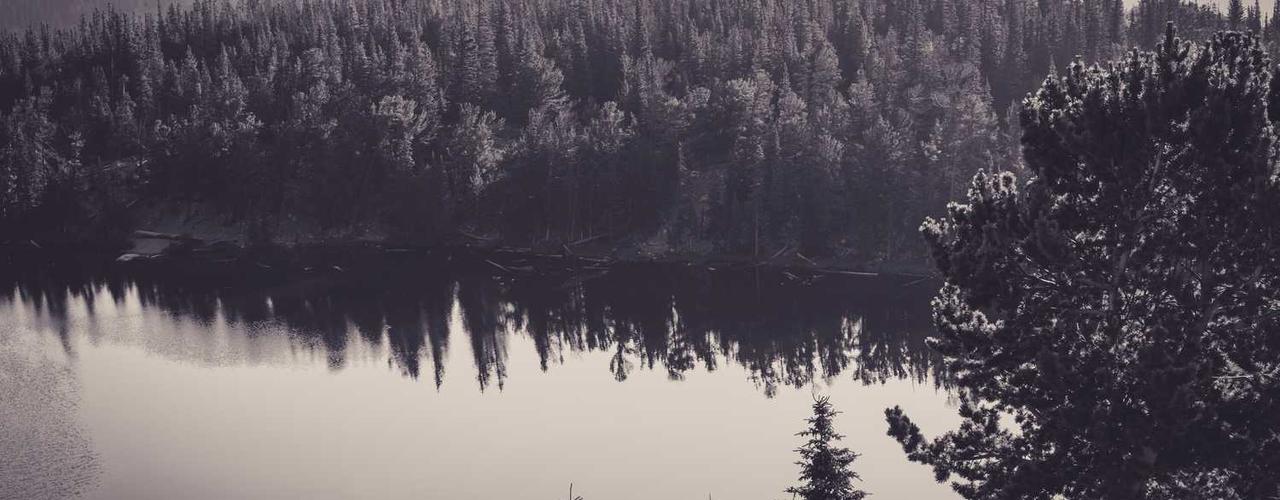 A random Tuesday post at 12:11:01 PM