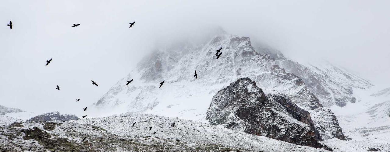 A random Wednesday post at 12:11:01 PM