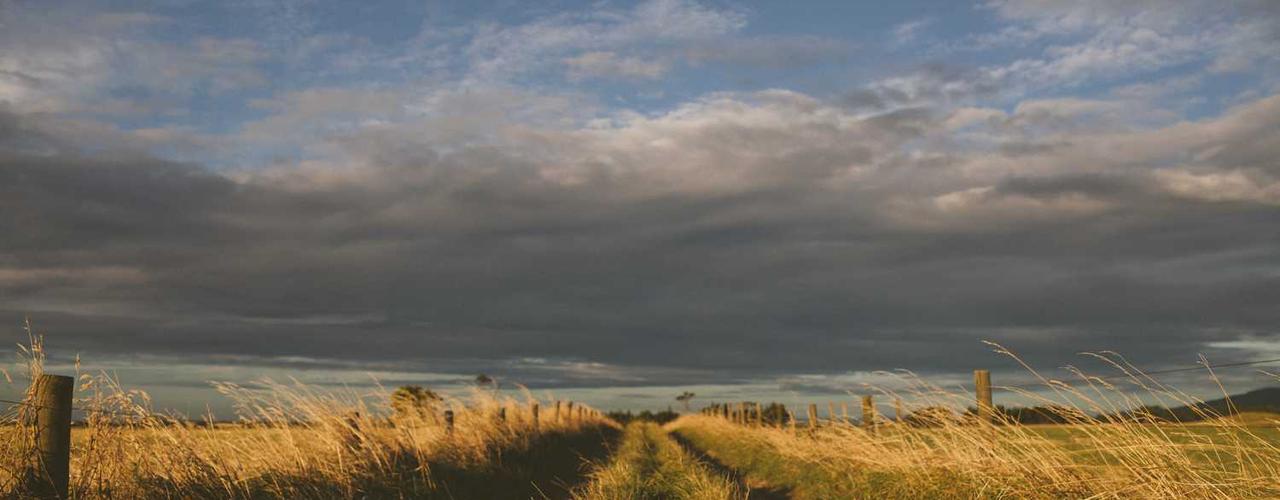 A random Friday post at 06:11:01 AM