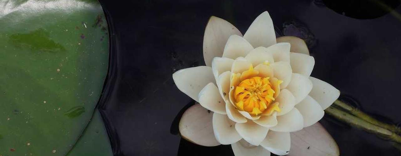 A random Friday post at 06:11:01 PM