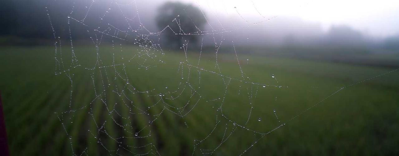 A random Saturday post at 06:11:01 AM