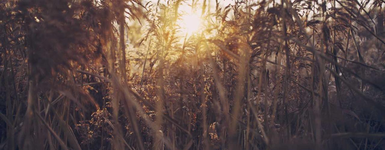 A random Saturday post at 12:11:01 PM