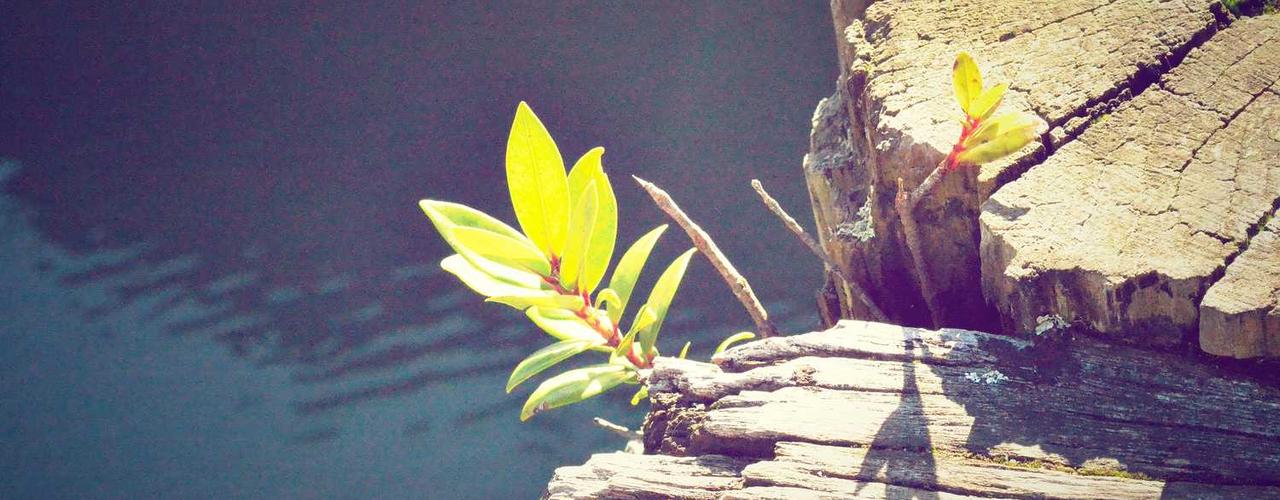 A random Sunday post at 12:11:01 PM