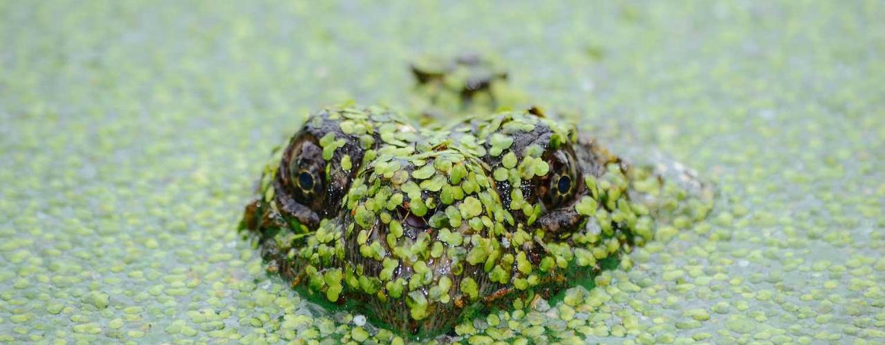 A random Wednesday post at 06:11:02 PM