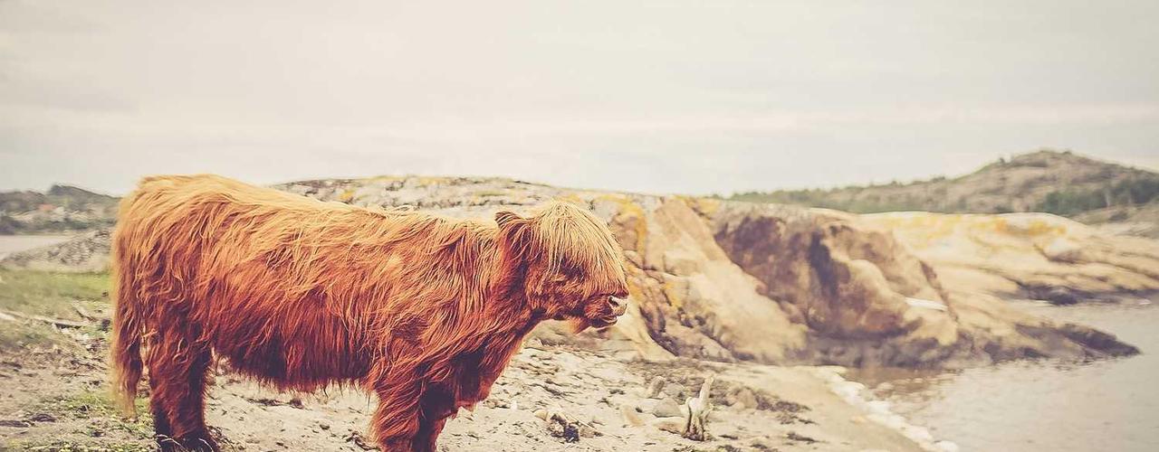 A random Sunday post at 06:11:01 PM