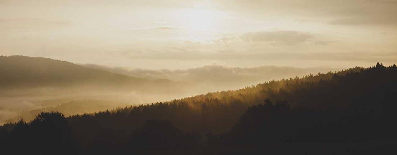 A random Tuesday post at 06:11:01 PM