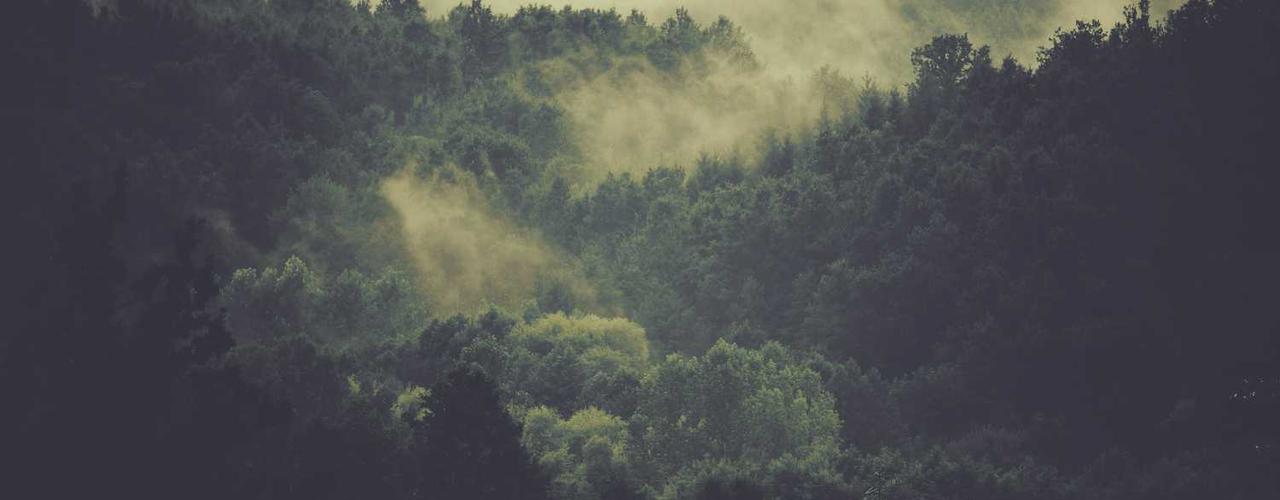 A random Sunday post at 06:11:01 PM