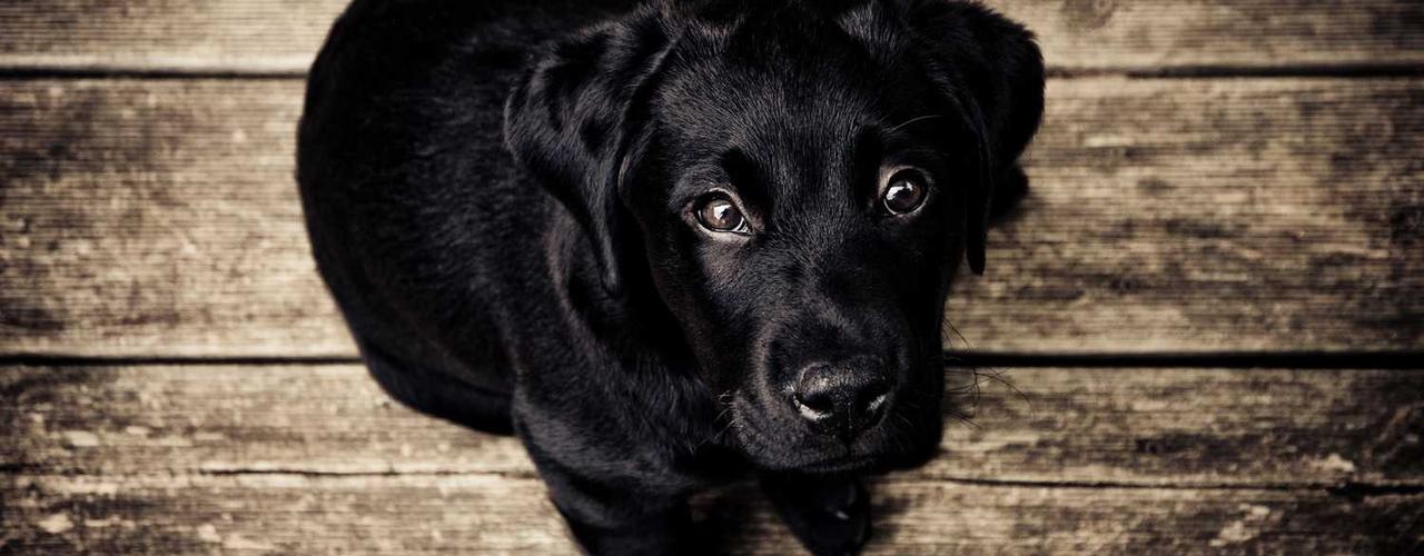 A random Monday post at 12:11:01 PM