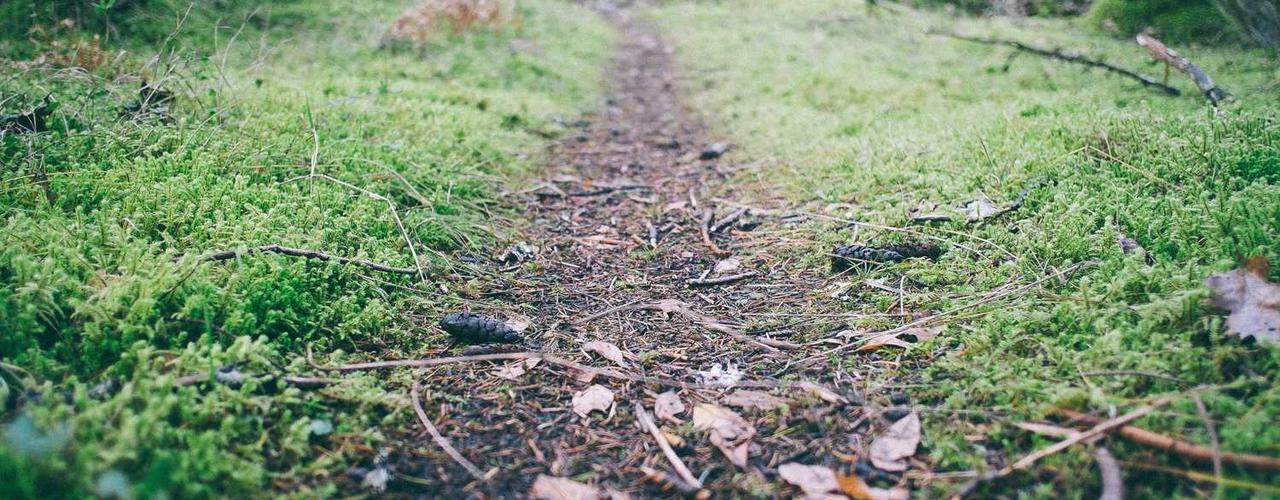 A random Tuesday post at 12:11:01 PM