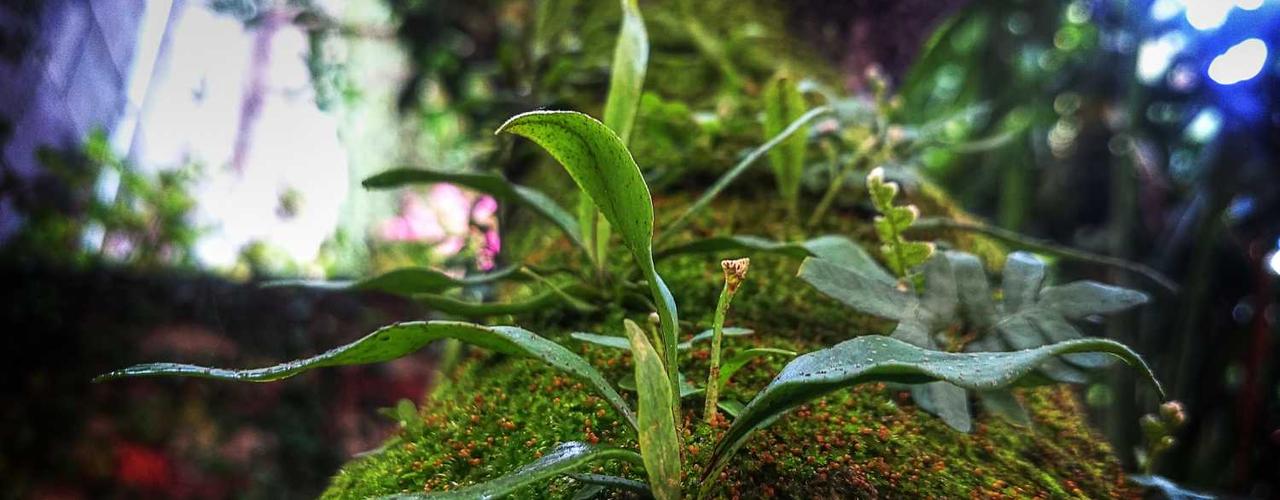 A random Friday post at 06:11:01 PM