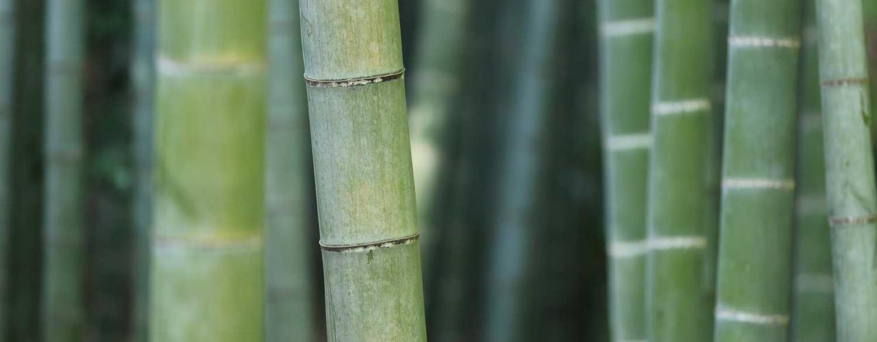 A random Saturday post at 06:11:01 AM