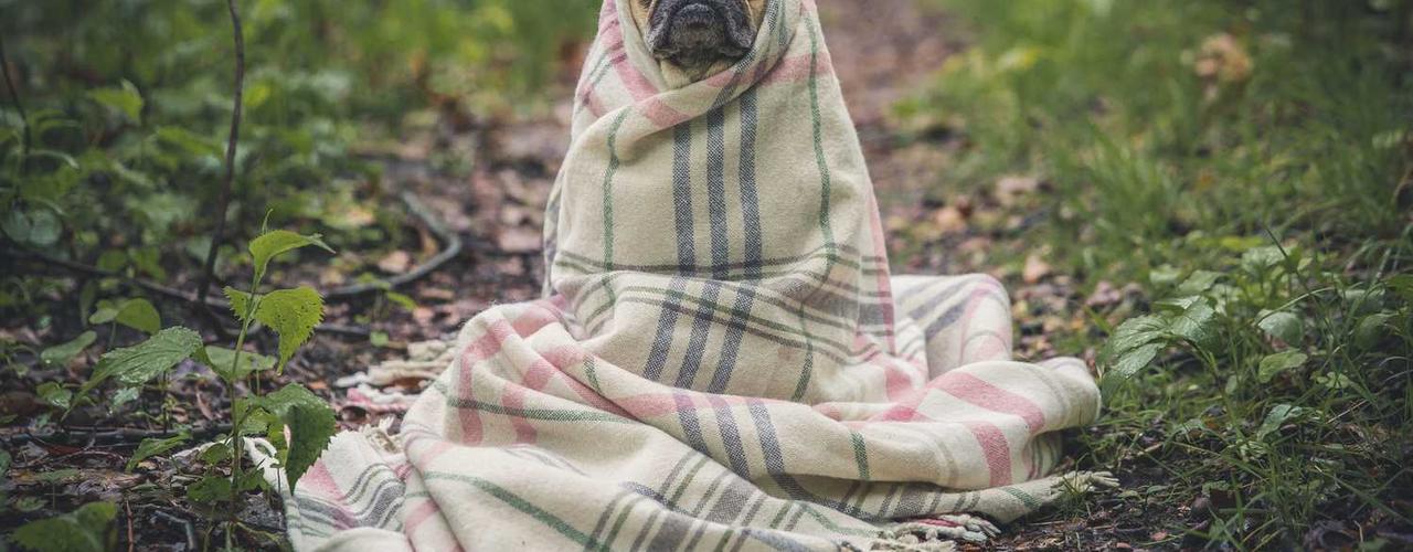 A random Monday post at 06:11:01 AM