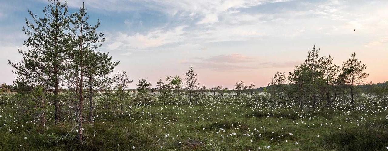 A random Tuesday post at 06:11:01 AM