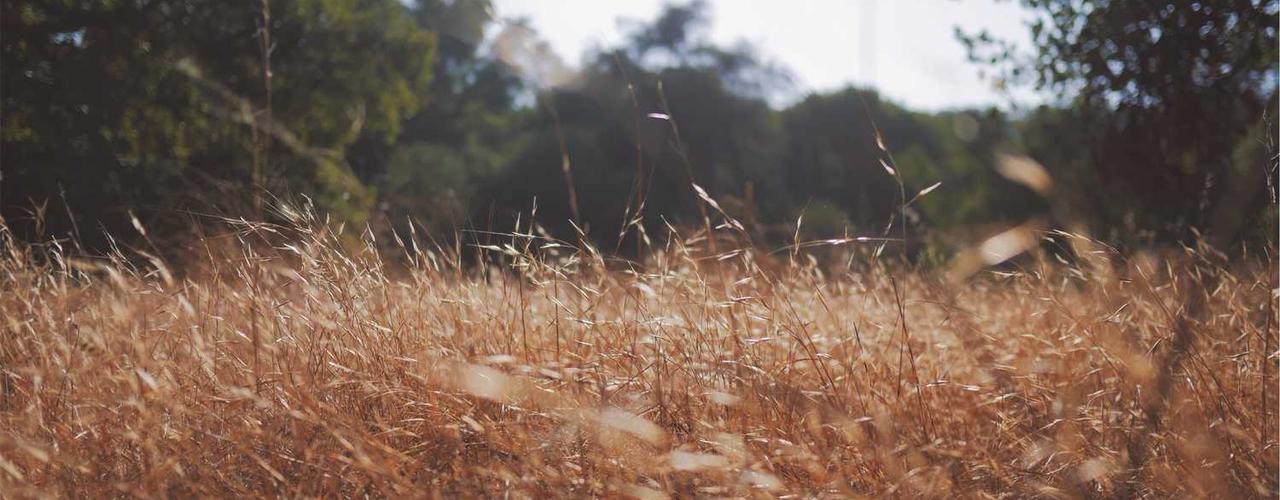 A random Friday post at 12:11:01 PM