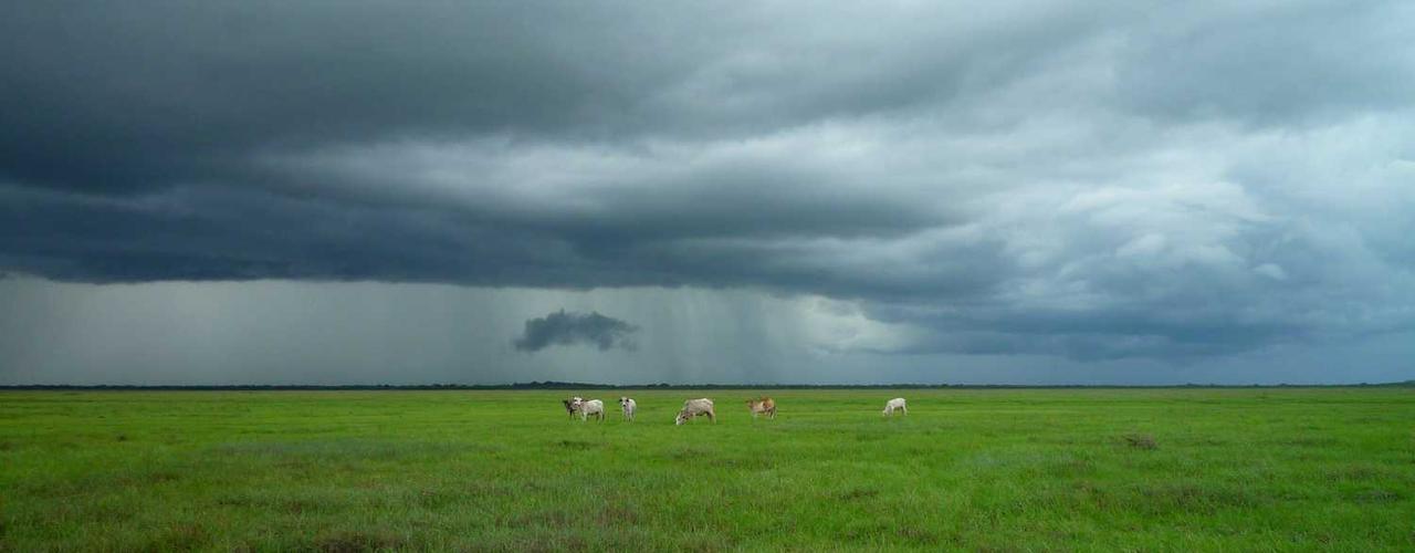 A random Tuesday post at 12:11:01 AM