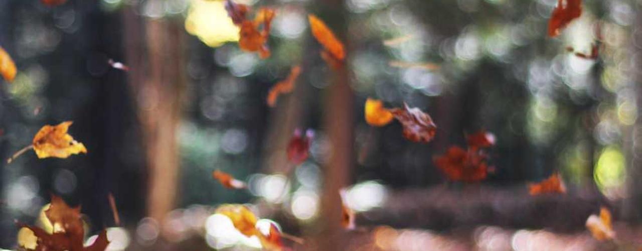 A random Tuesday post at 12:11:01 PM