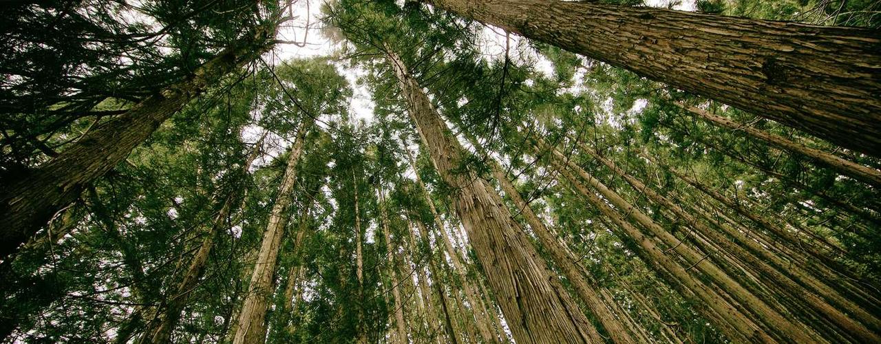 A random Friday post at 06:11:01 AM