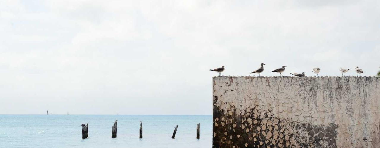 A random Saturday post at 12:11:01 AM