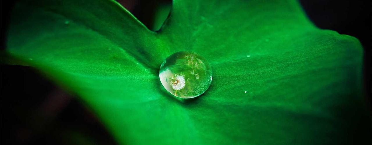 A random Wednesday post at 06:11:01 AM