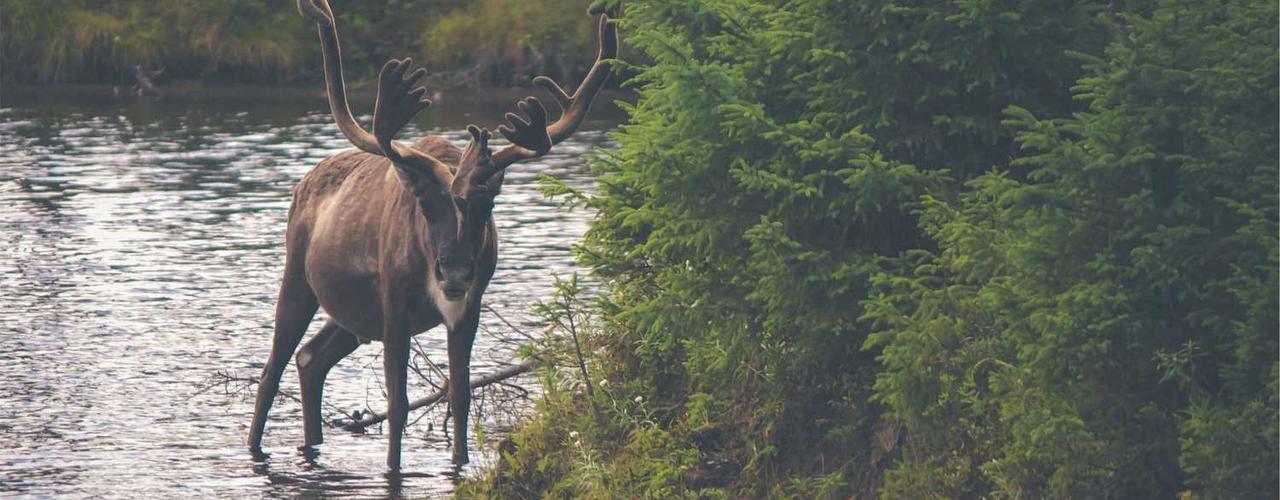 A random Thursday post at 12:11:02 AM