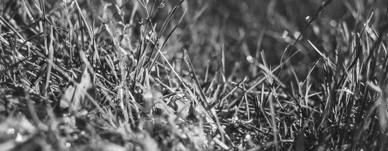 A random Thursday post at 12:11:01 AM