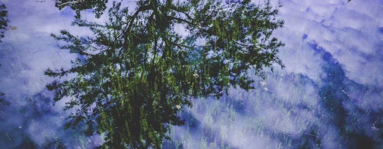 A random Monday post at 06:11:02 PM