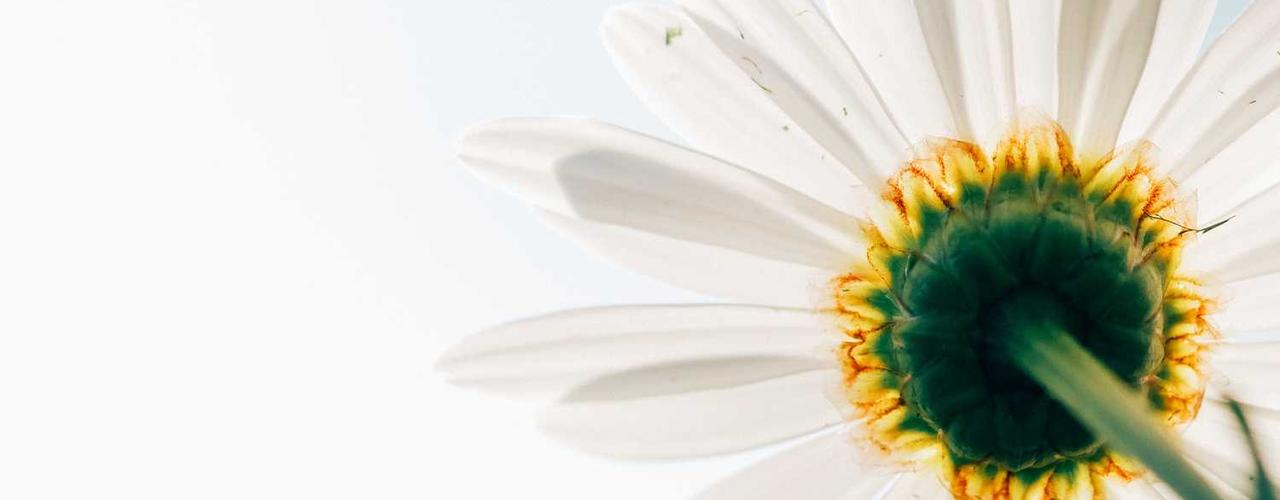 A random Tuesday post at 06:11:02 PM