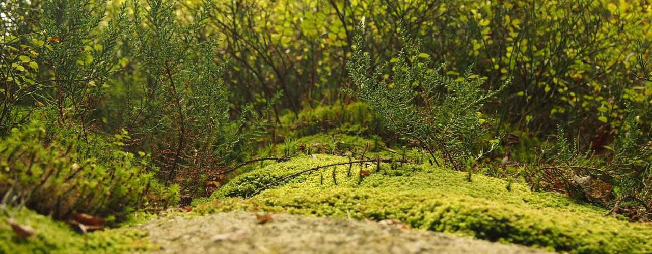 A random Thursday post at 06:11:01 PM