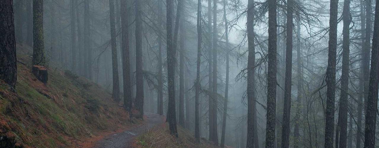 A random Tuesday post at 12:11:01 AM