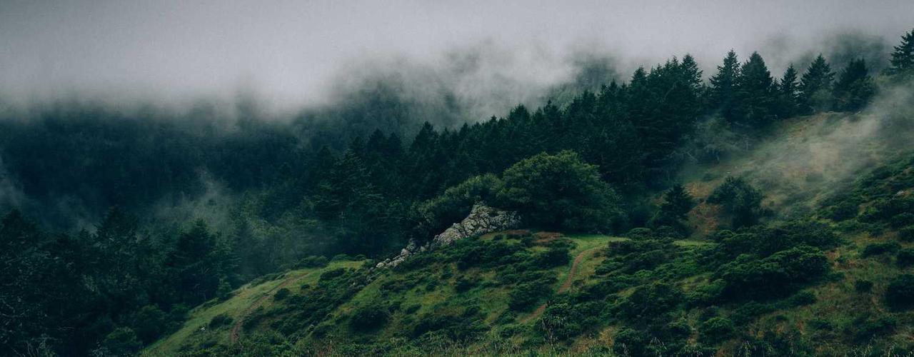 A random Thursday post at 06:11:01 AM