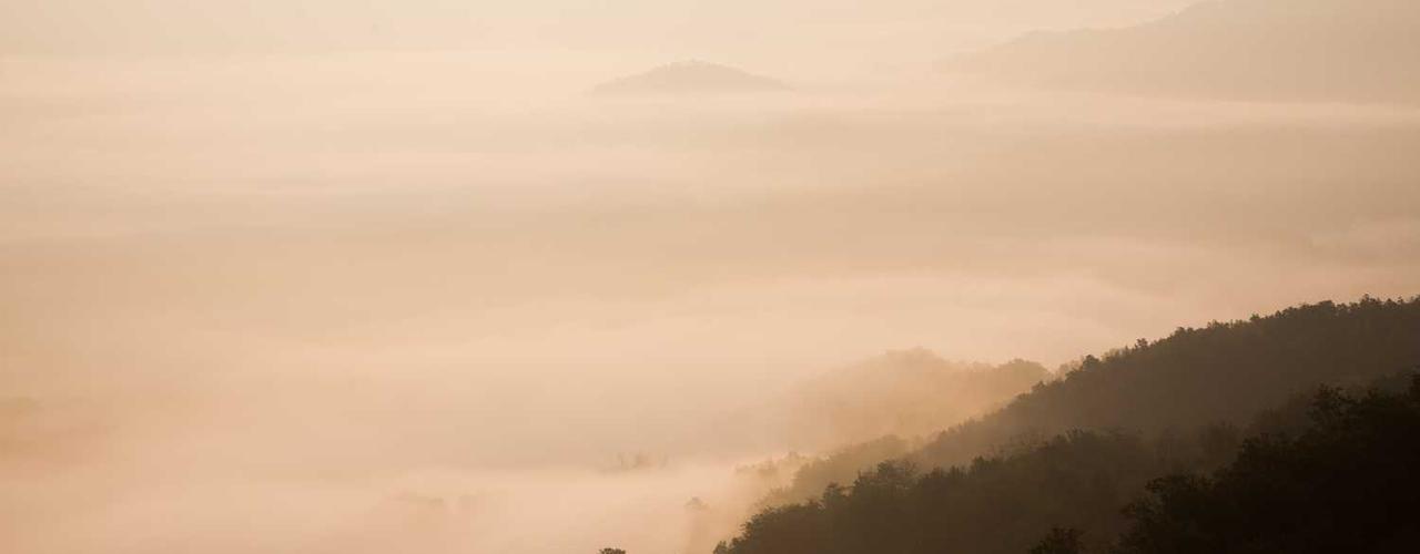 A random Friday post at 06:11:02 AM