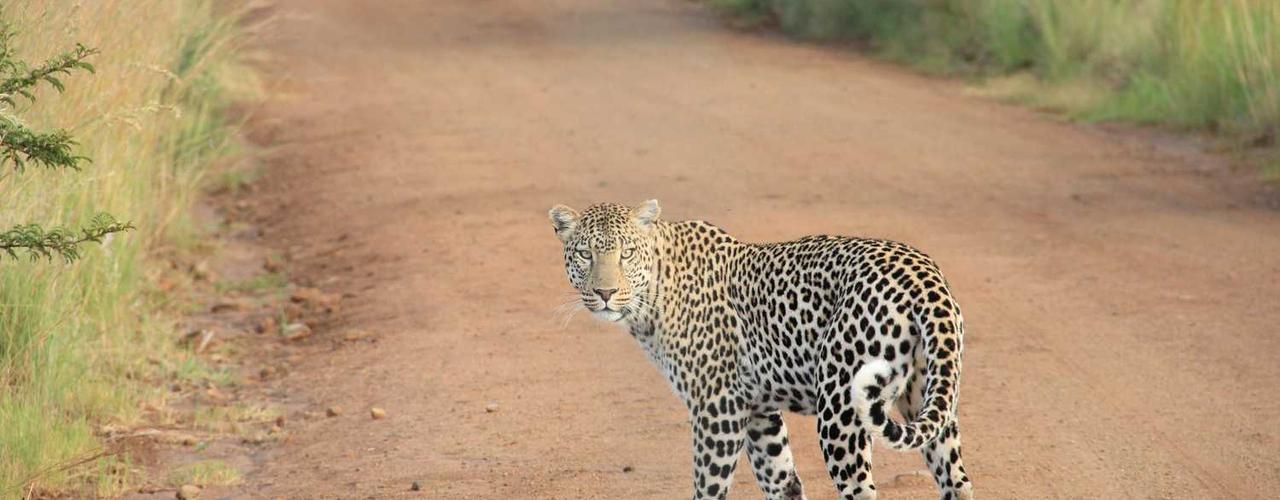 A random Friday post at 12:11:01 PM