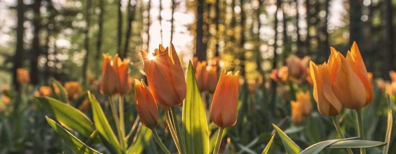 A random Saturday post at 06:11:01 AM