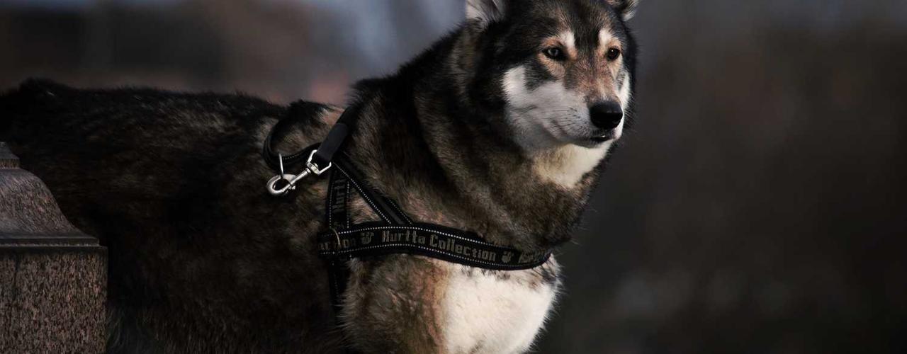 A random Wednesday post at 06:11:01 PM