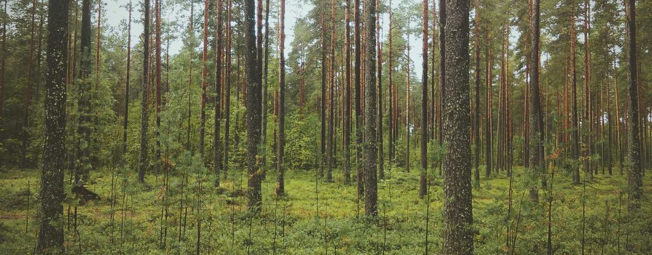 A random Saturday post at 12:11:01 PM