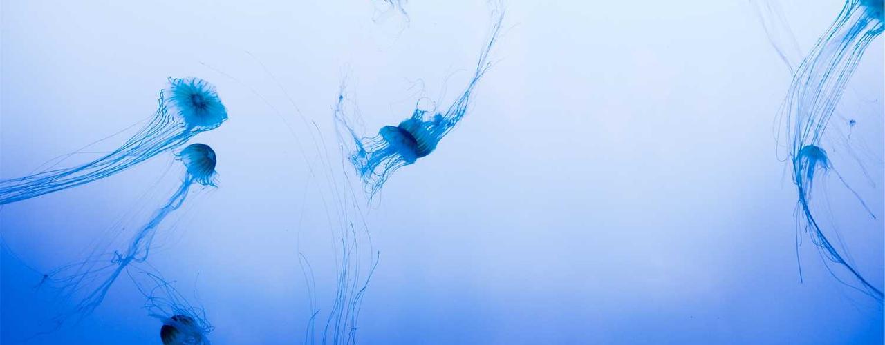 A random Sunday post at 06:11:01 AM