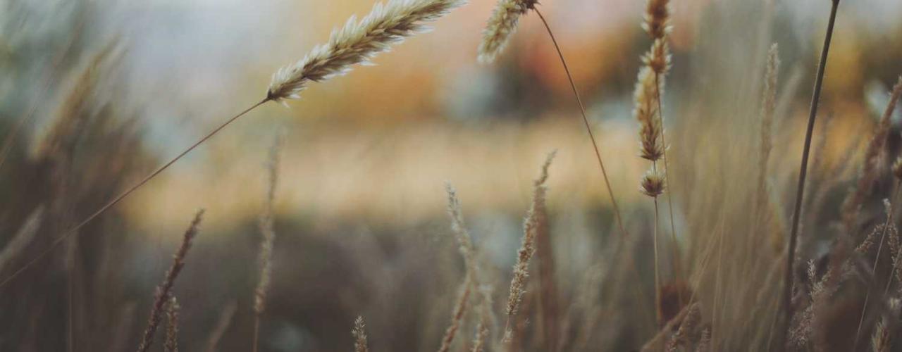 A random Monday post at 12:11:01 PM