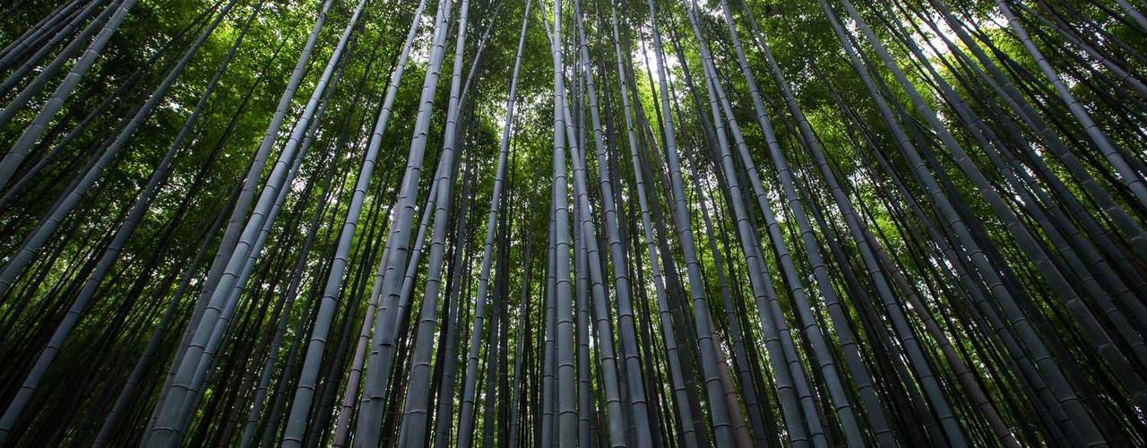 A random Monday post at 06:11:01 PM