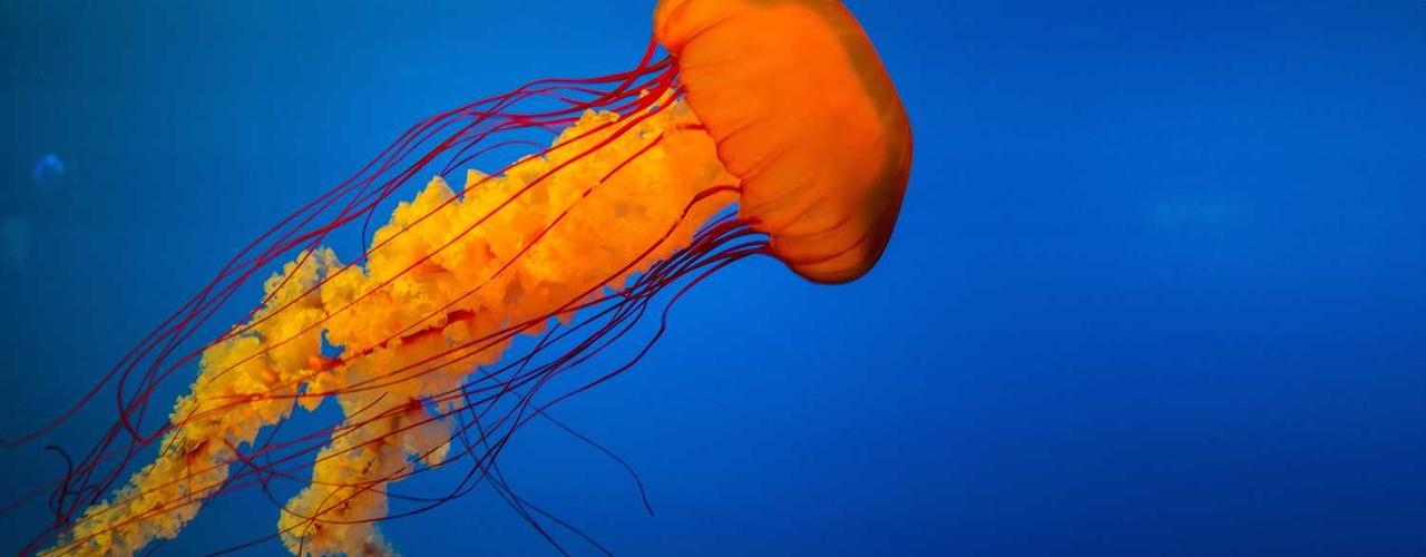 A random Sunday post at 06:11:01 AM