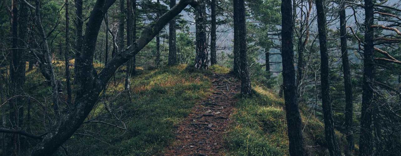 A random Sunday post at 06:11:01 PM