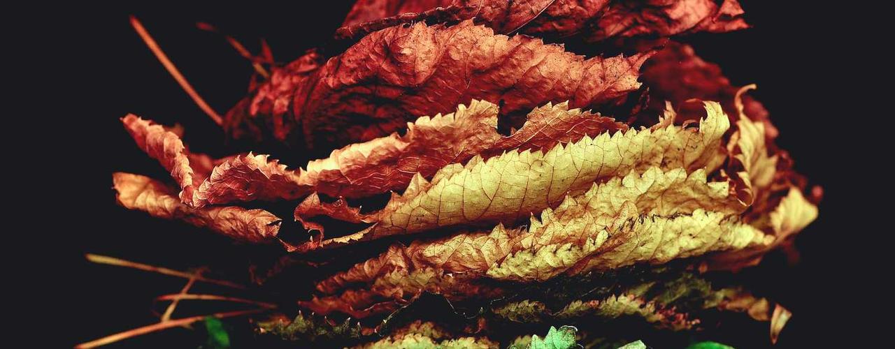 A random Saturday post at 12:11:01 PM