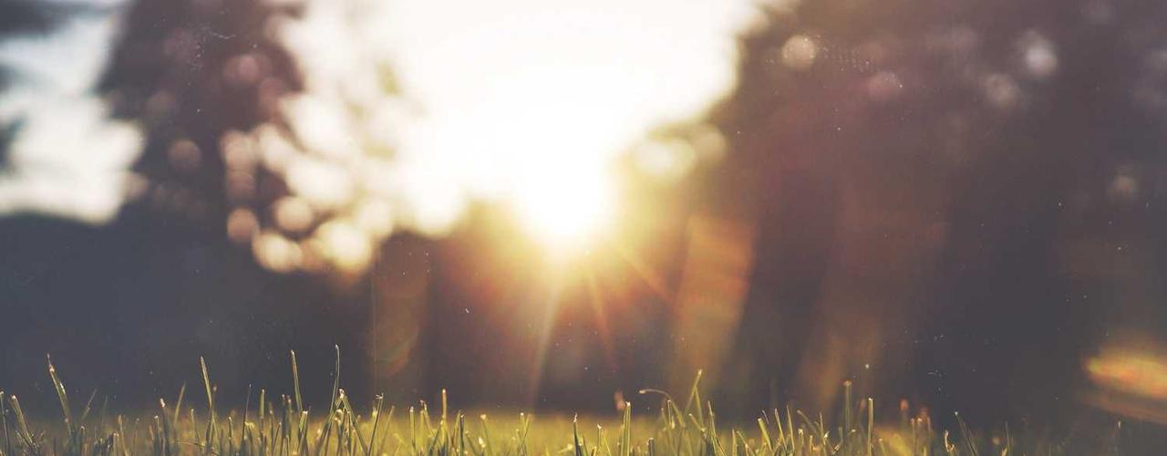 A random Sunday post at 06:11:01 AM