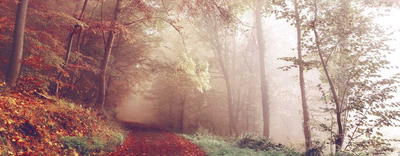 A random Monday post at 06:11:01 PM