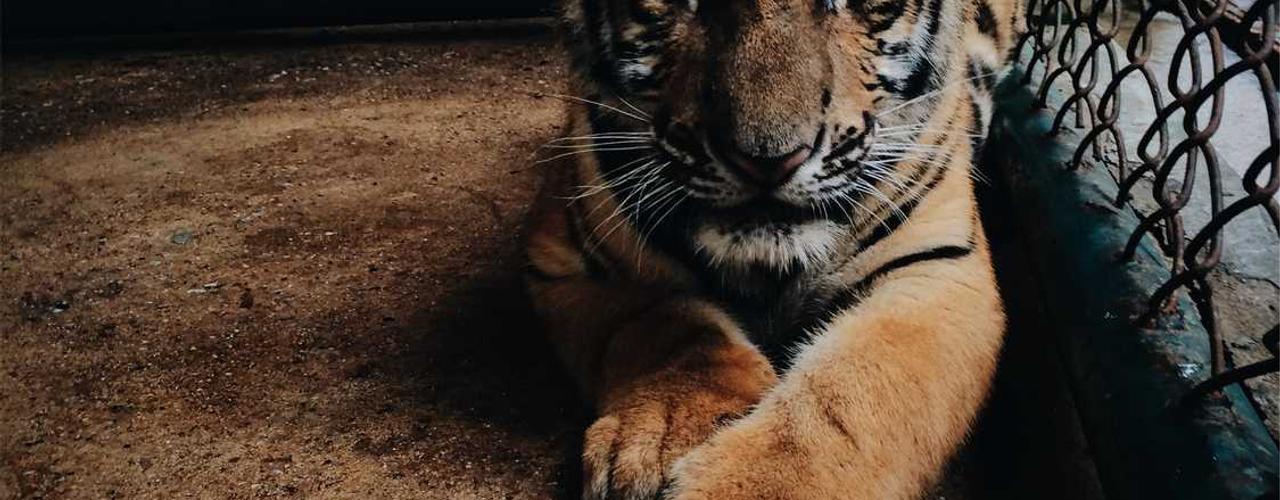 A random Tuesday post at 06:11:01 AM