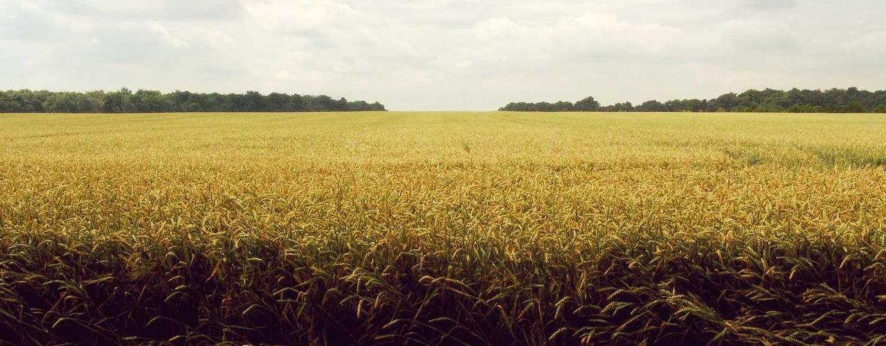 A random Wednesday post at 12:11:01 PM