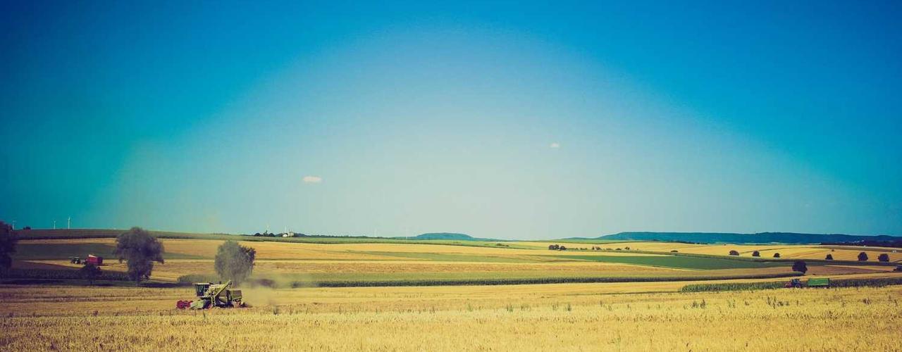 A random Tuesday post at 06:11:01 AM