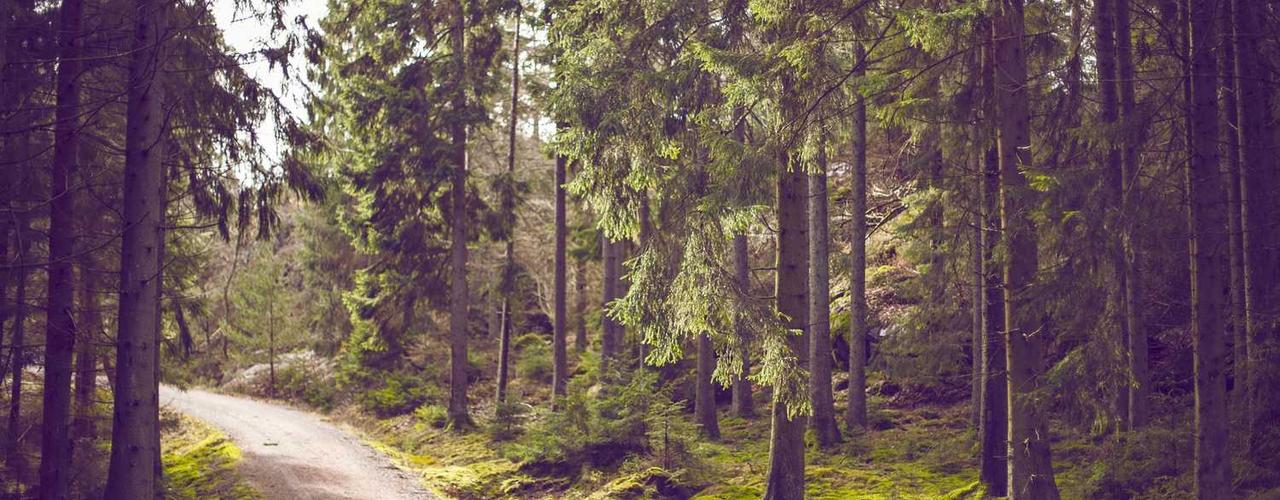 A random Wednesday post at 12:11:02 AM